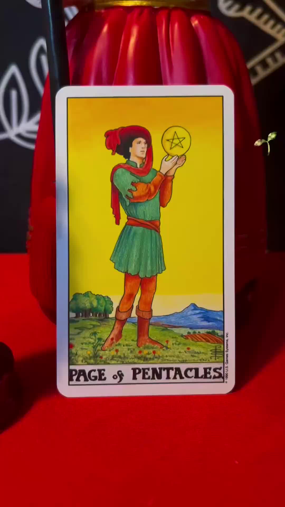 @7 Powers Botanica