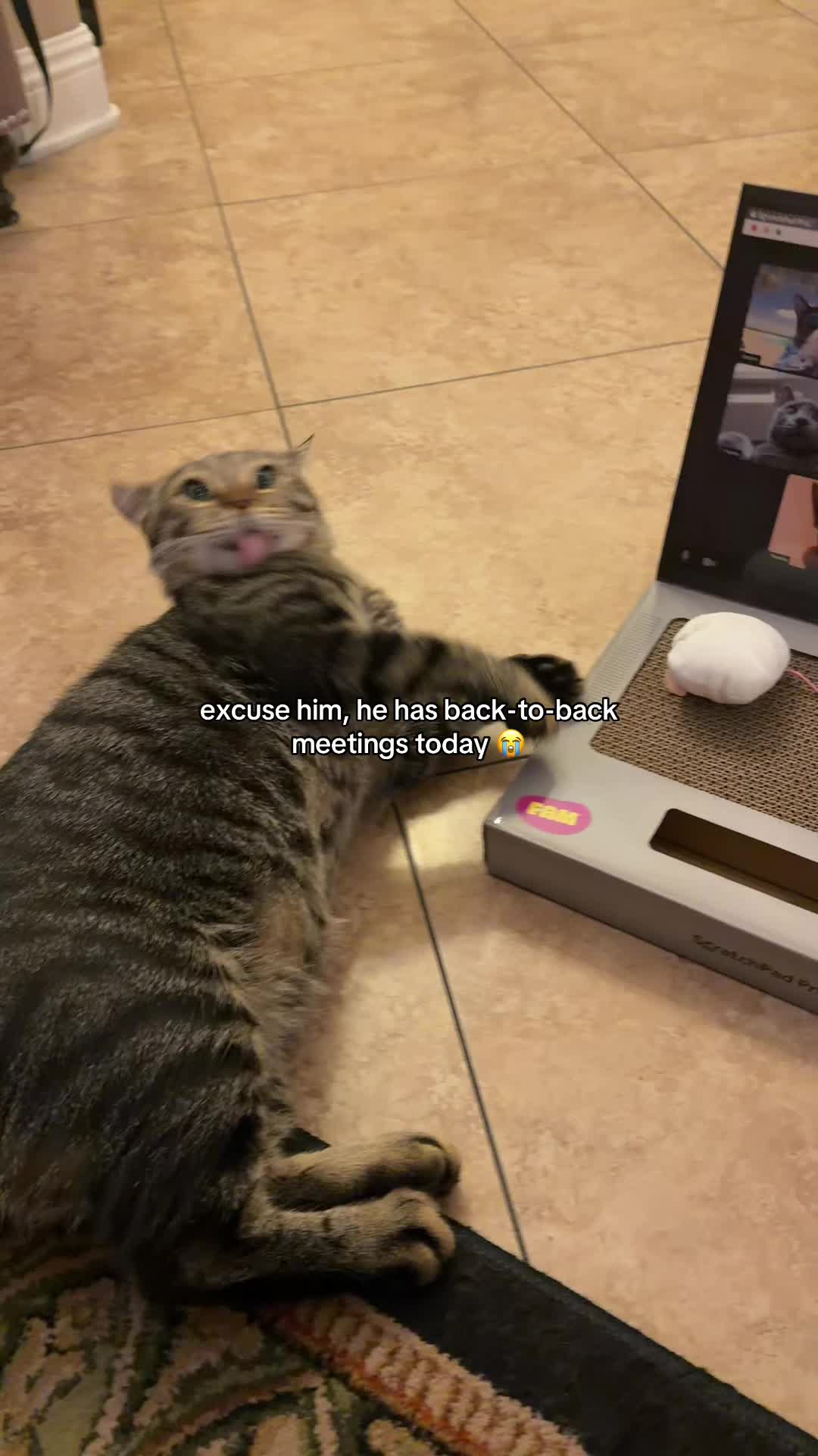 @theonefinds