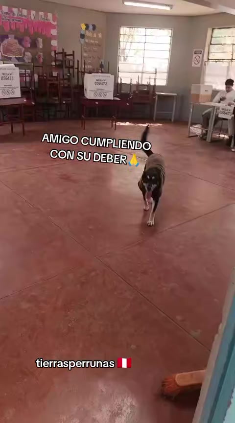 @Asociación T.Perrunas🐕🐈🇵🇪