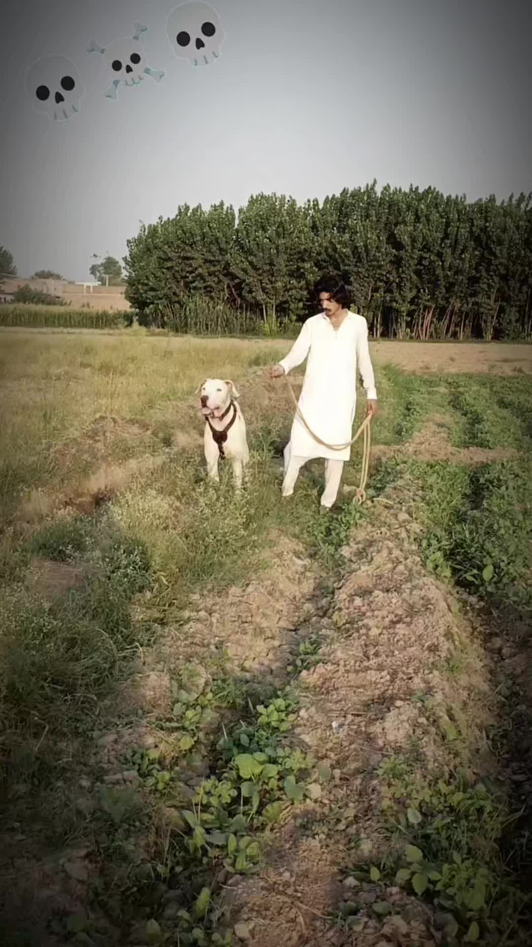 @MåTëēÑ-Khåñ__(SSåLäR ZåÏ