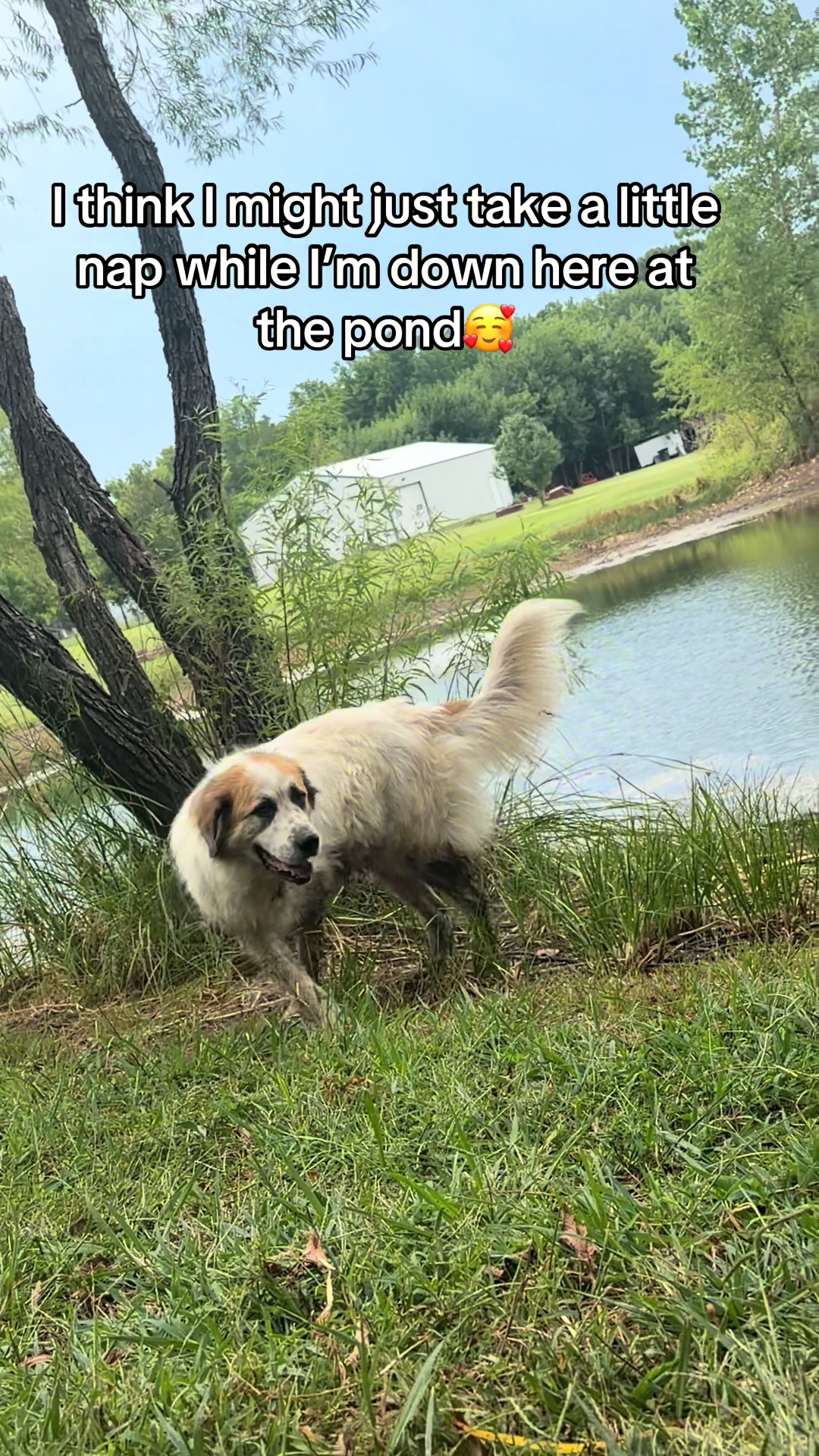 @NonniesFunnyFarm