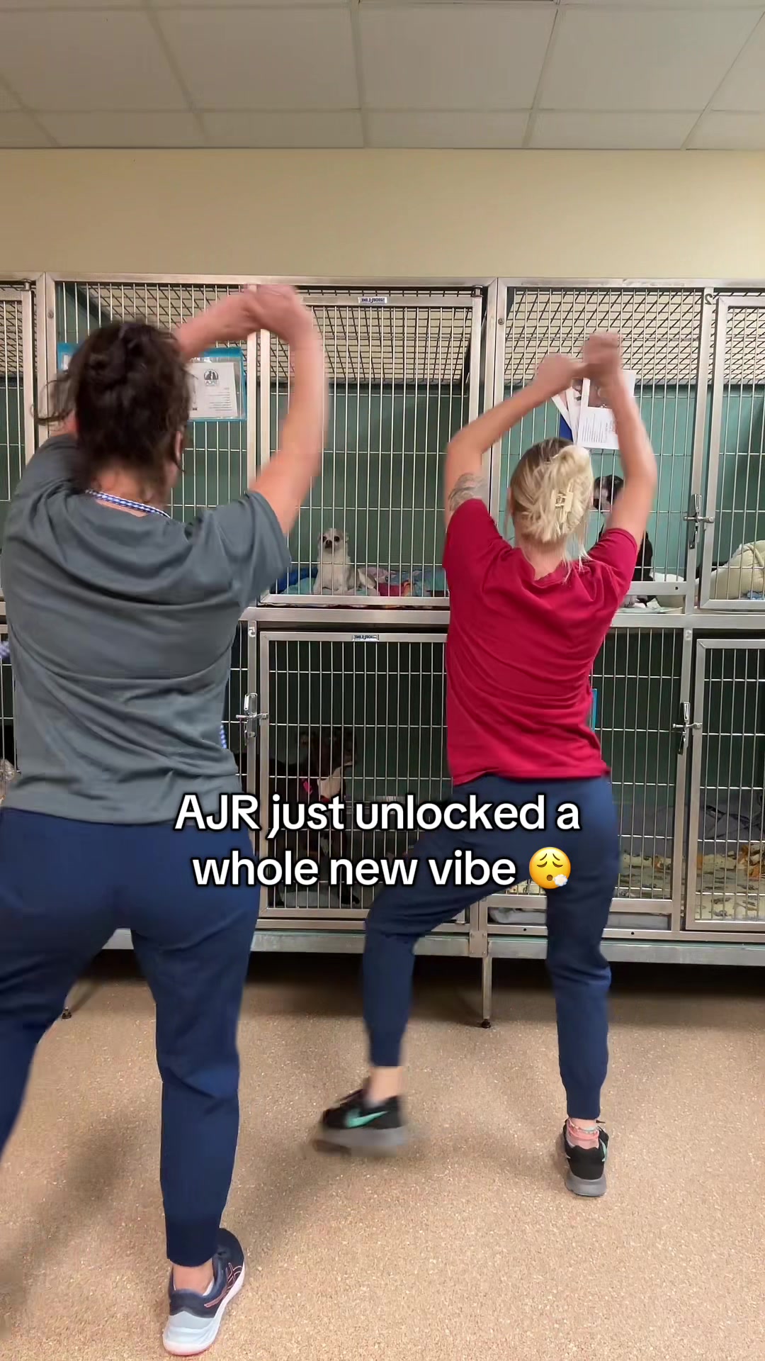 @2vettechs