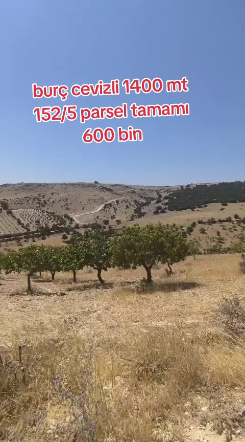 @canpolat emlak 27
