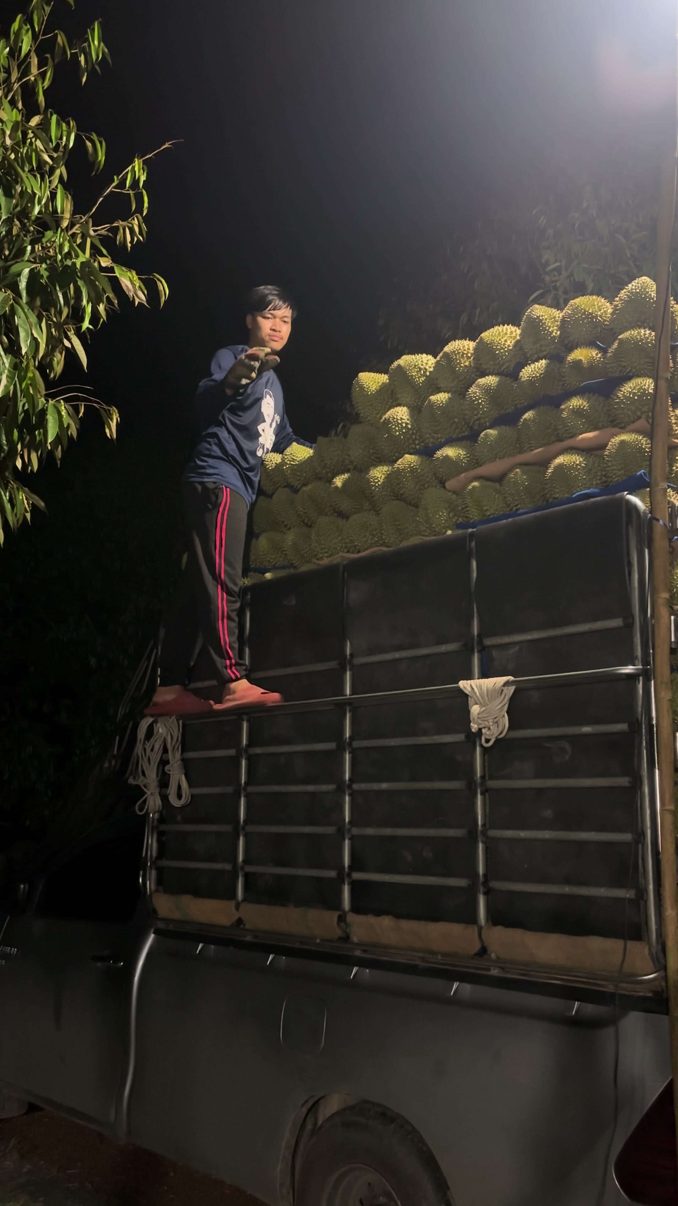 @เเบงค์ ชนะชัย  ଽ🌳🪣🍅