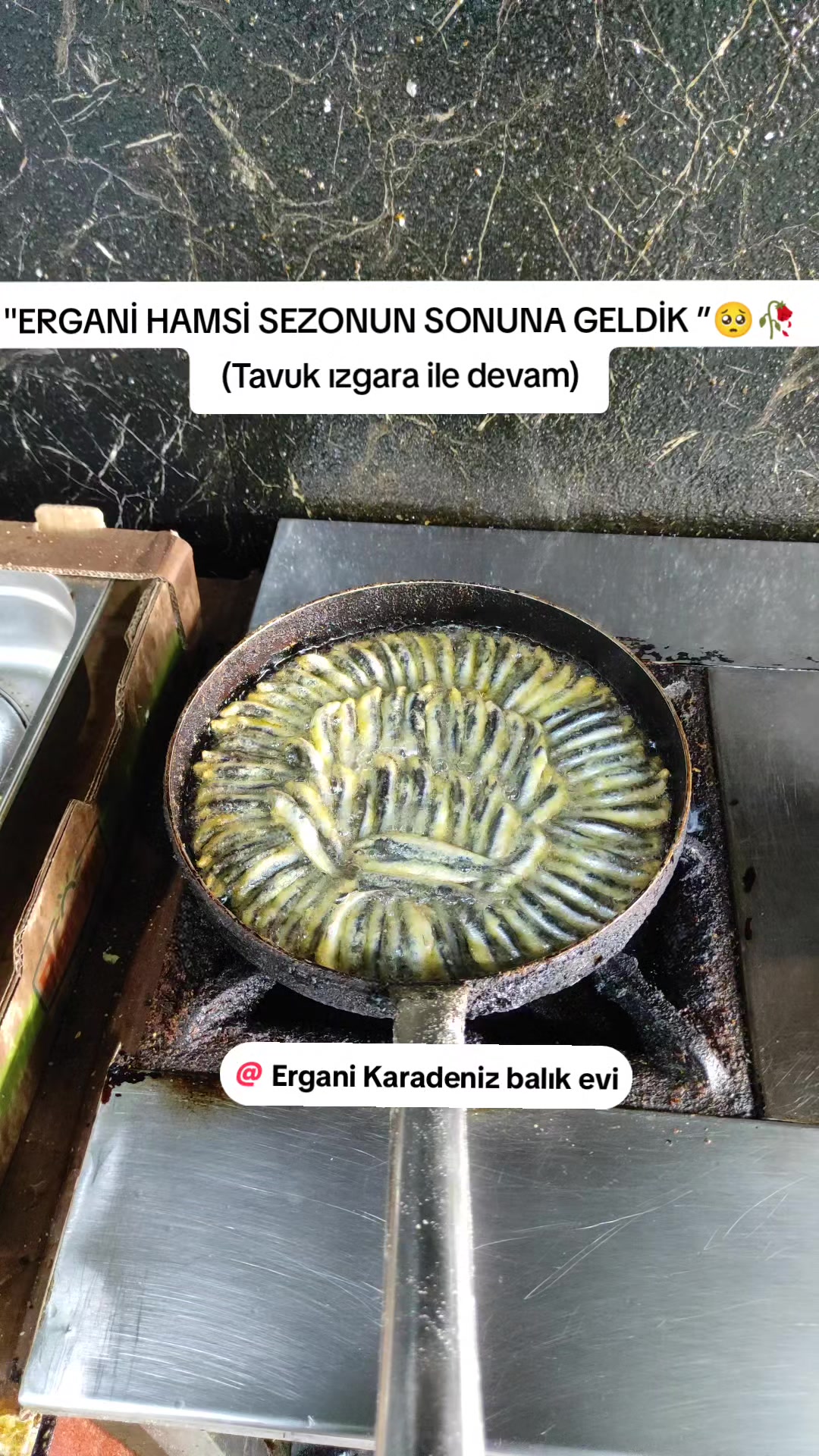 @Ergani Karadeniz balık evi