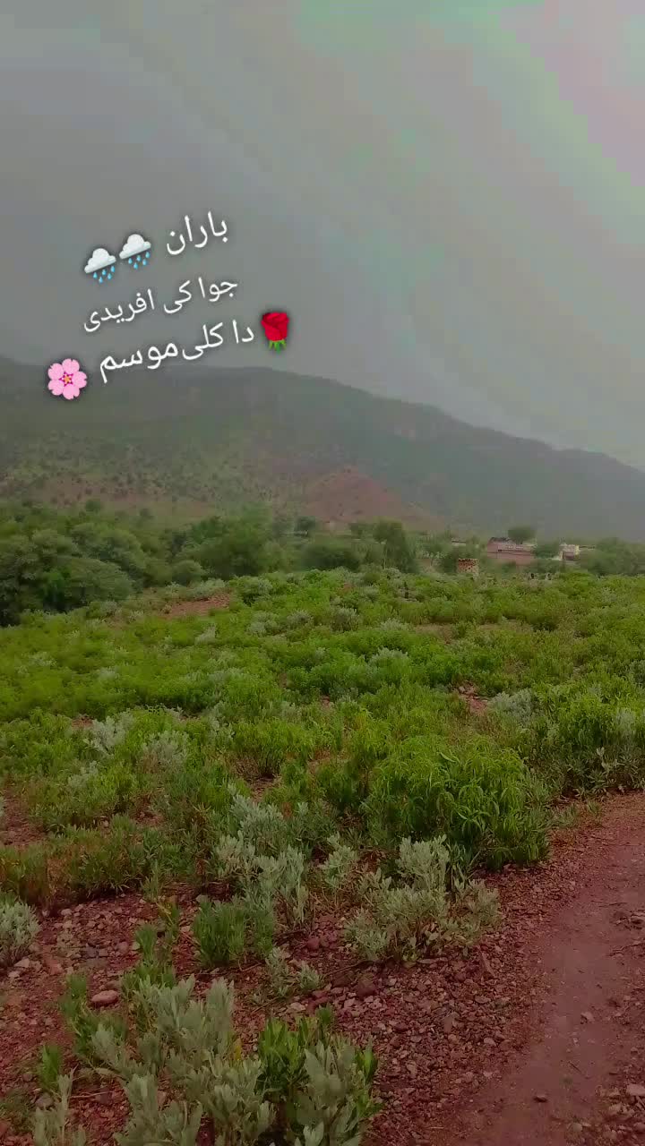 @Faizan _khan 368