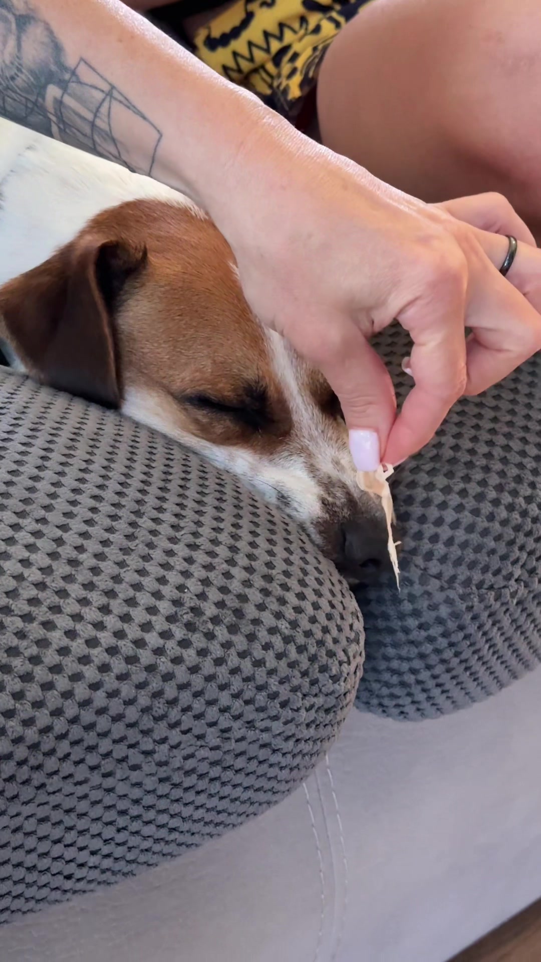 @люблю свою кожану🐶