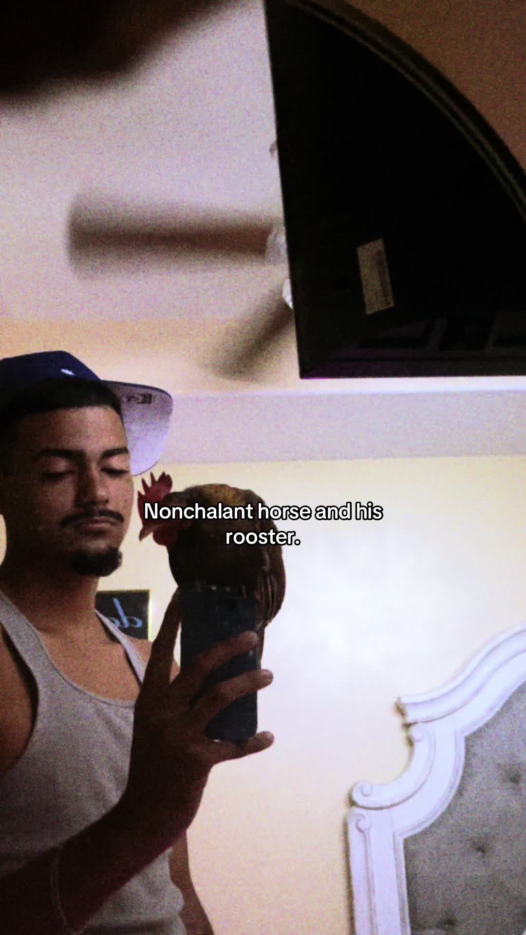@flaco3xx