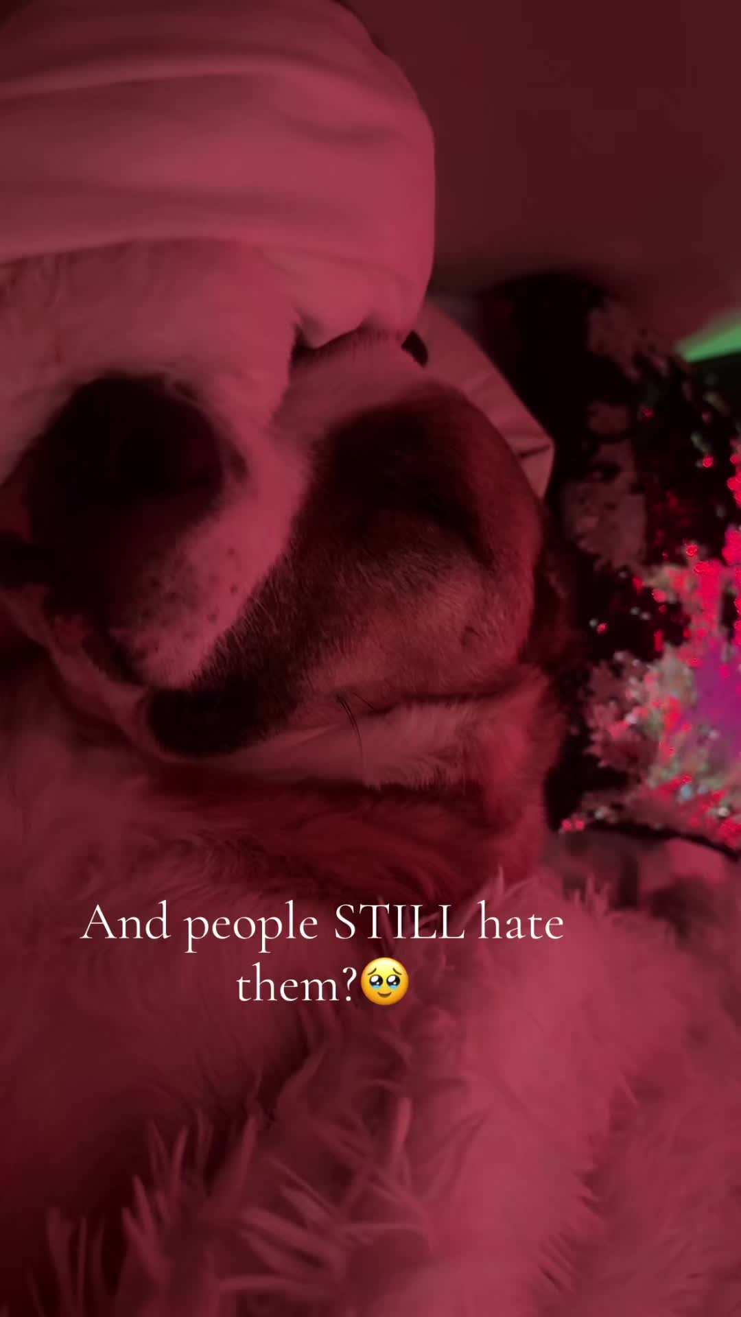 @ᶻ 𝘇 𐰁 𝓒𝓱𝓵𝓸 ᶻ 𝘇 𐰁