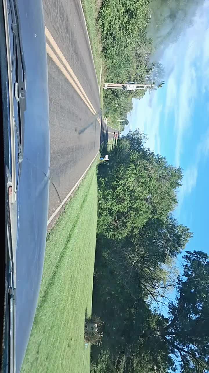 @el de la tacoma