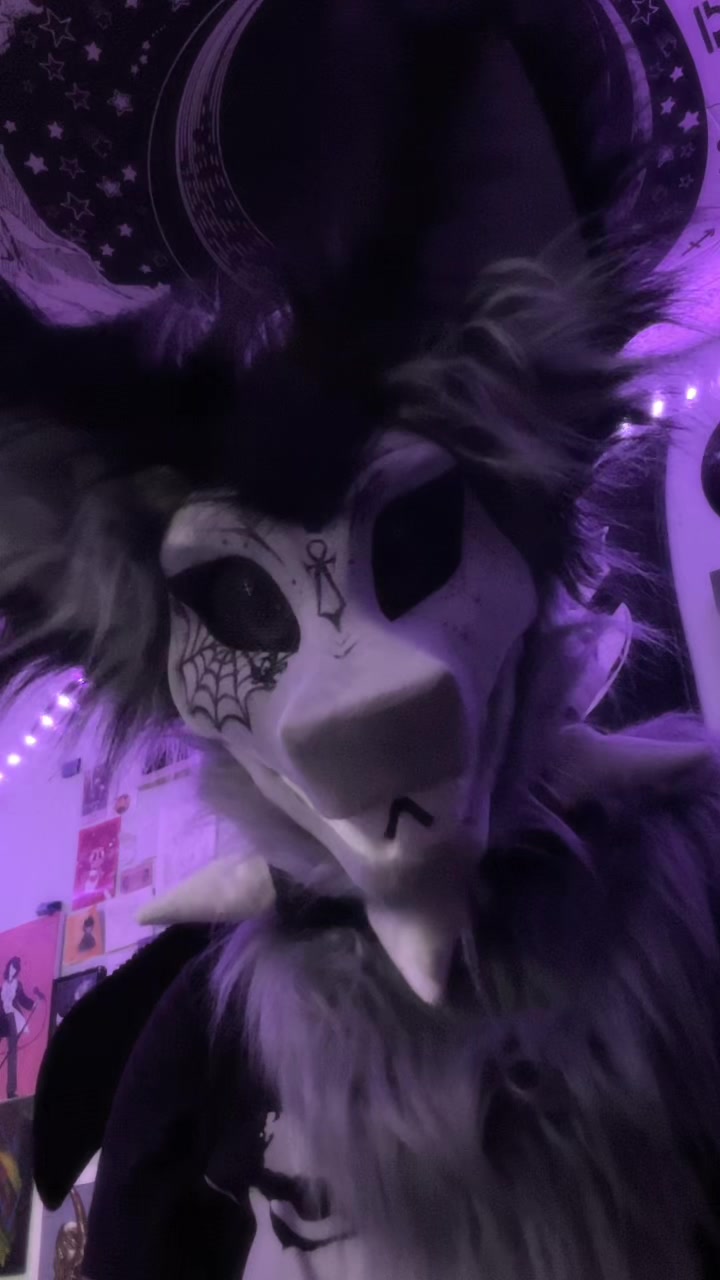 @Arin🦿Average Terzo Enjoyer