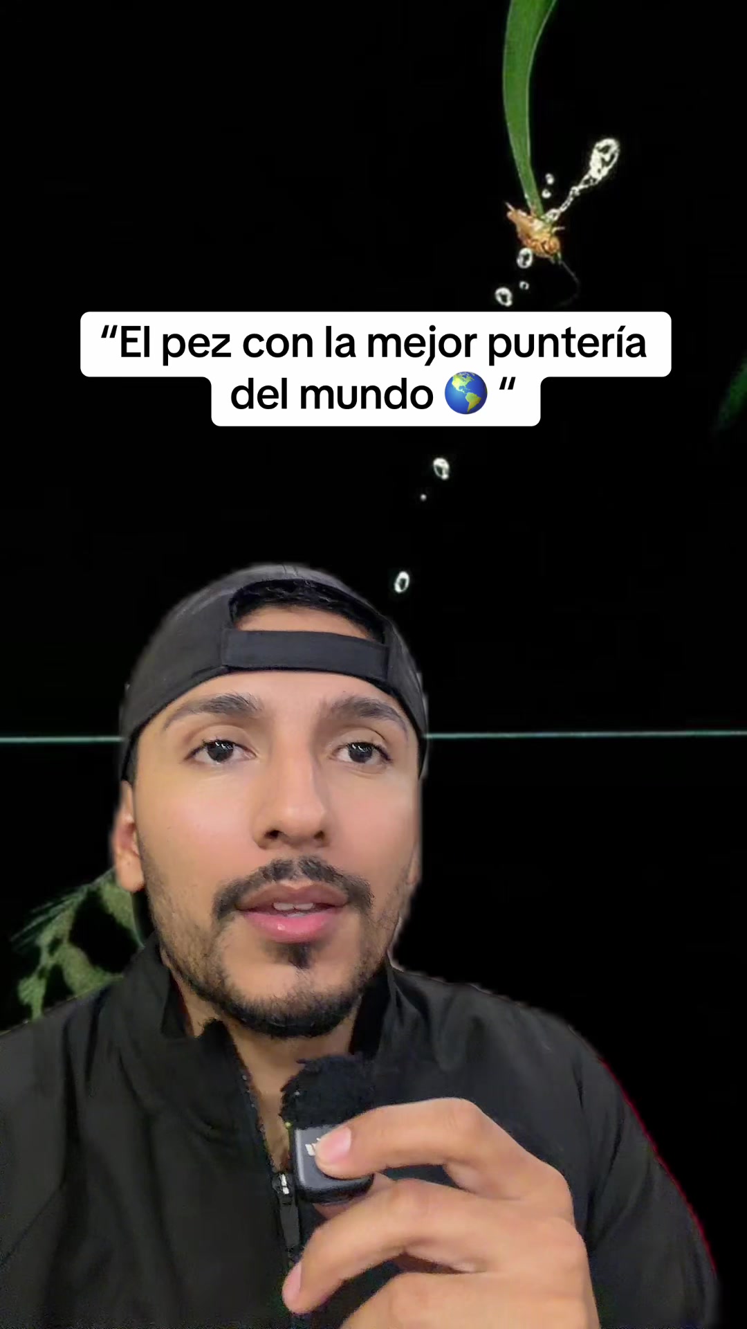 @Osmarus