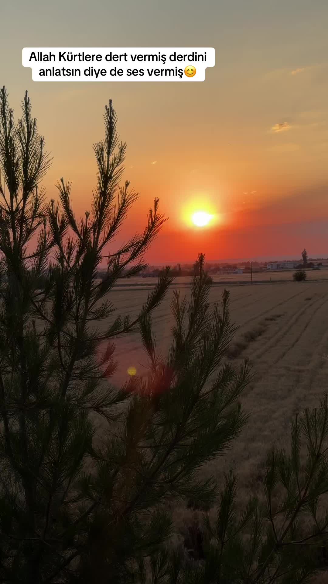 @Arap ♾️Kürt❤️Aşkı
