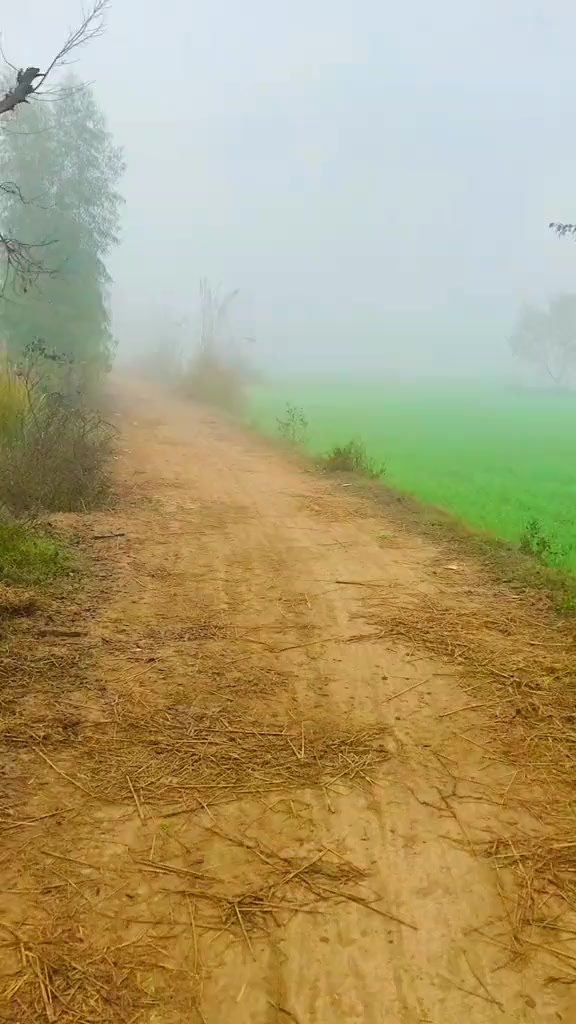 @Malik Bhai