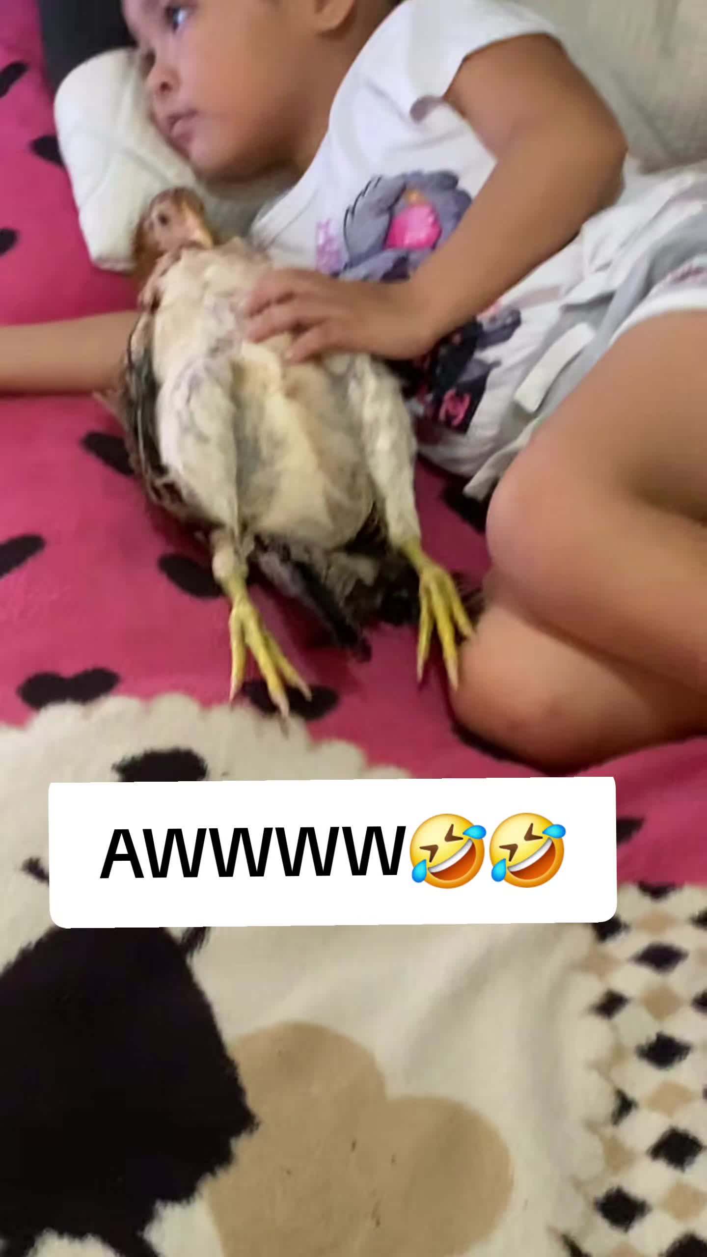 @just-random-stuff