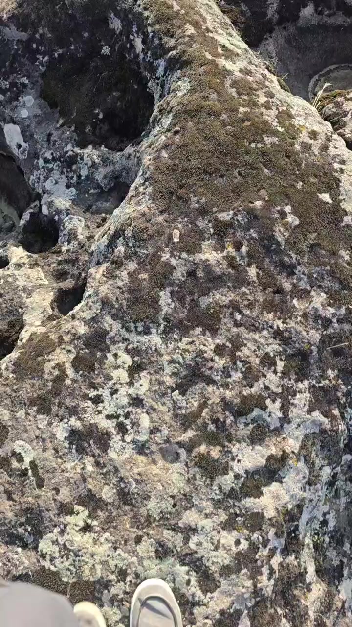 @wirin_qız🧚♀️😌