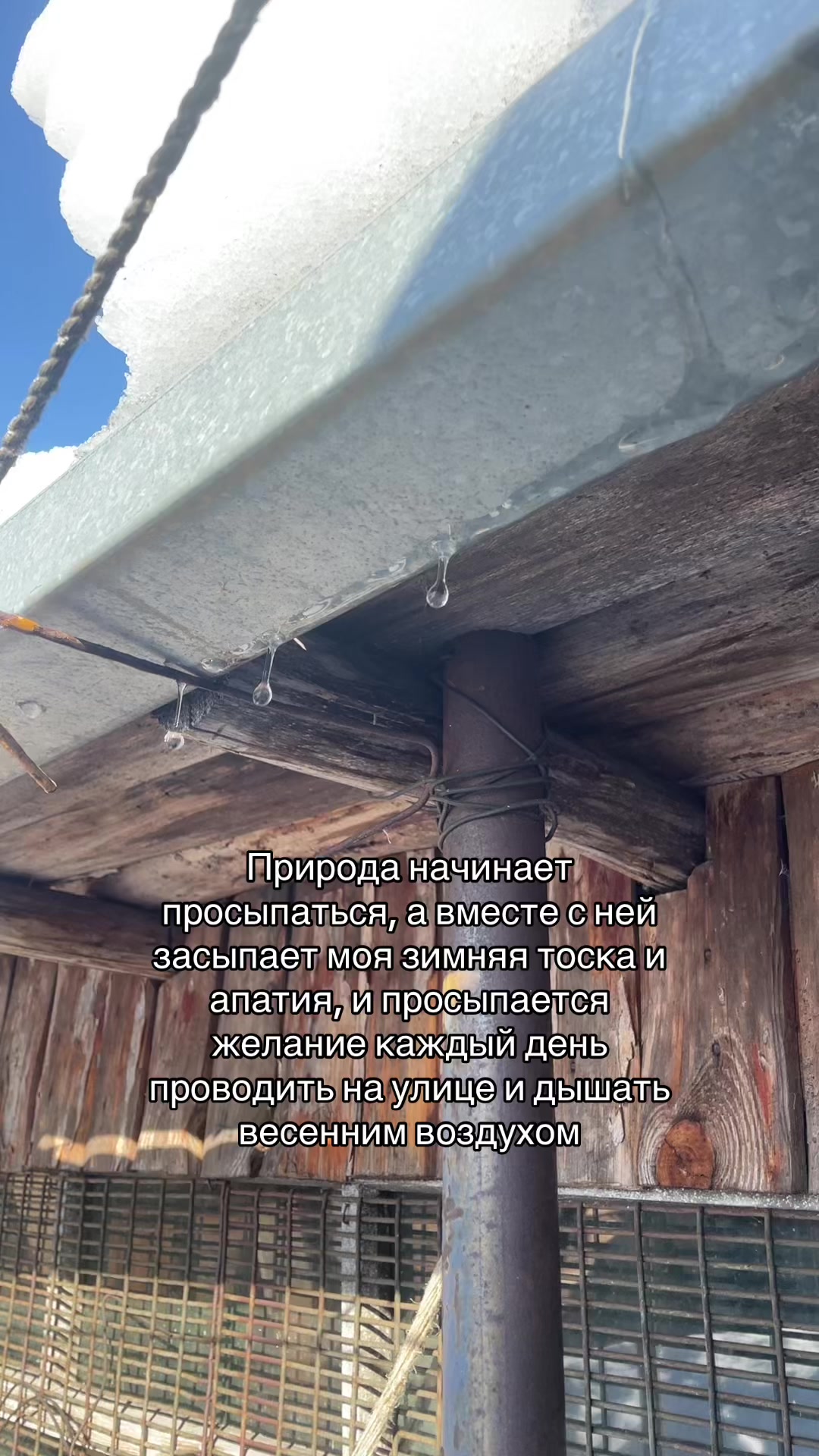 @Тера