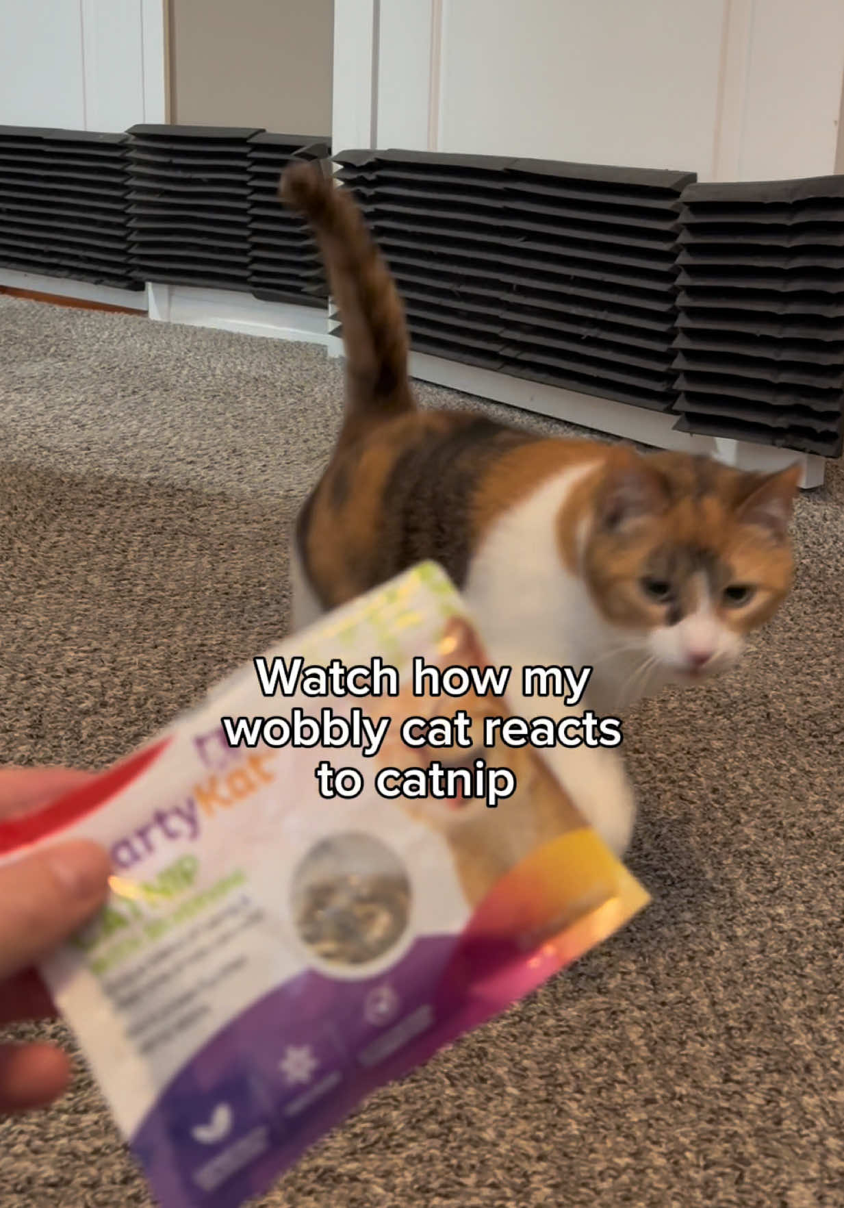 @Ada