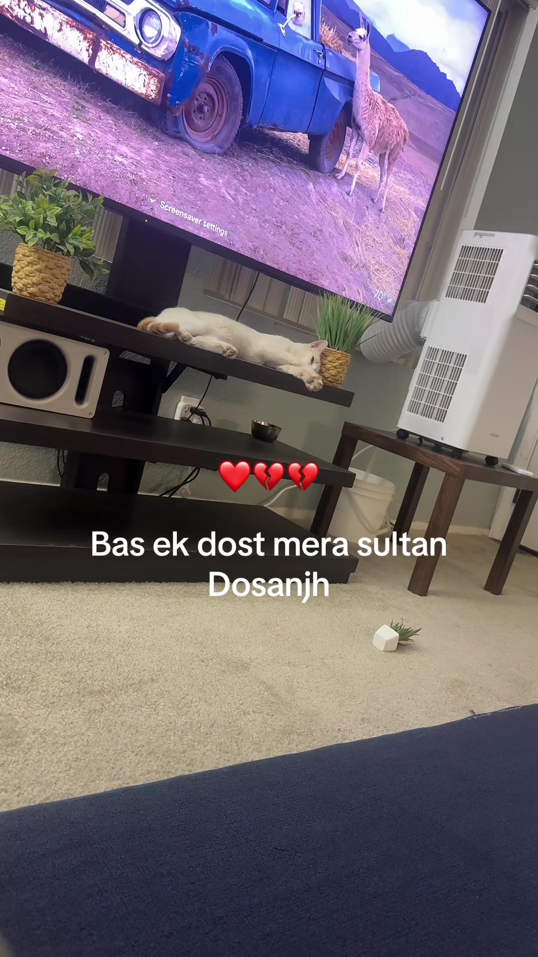 @Hry_DOSANJH_brown_jatt🌴
