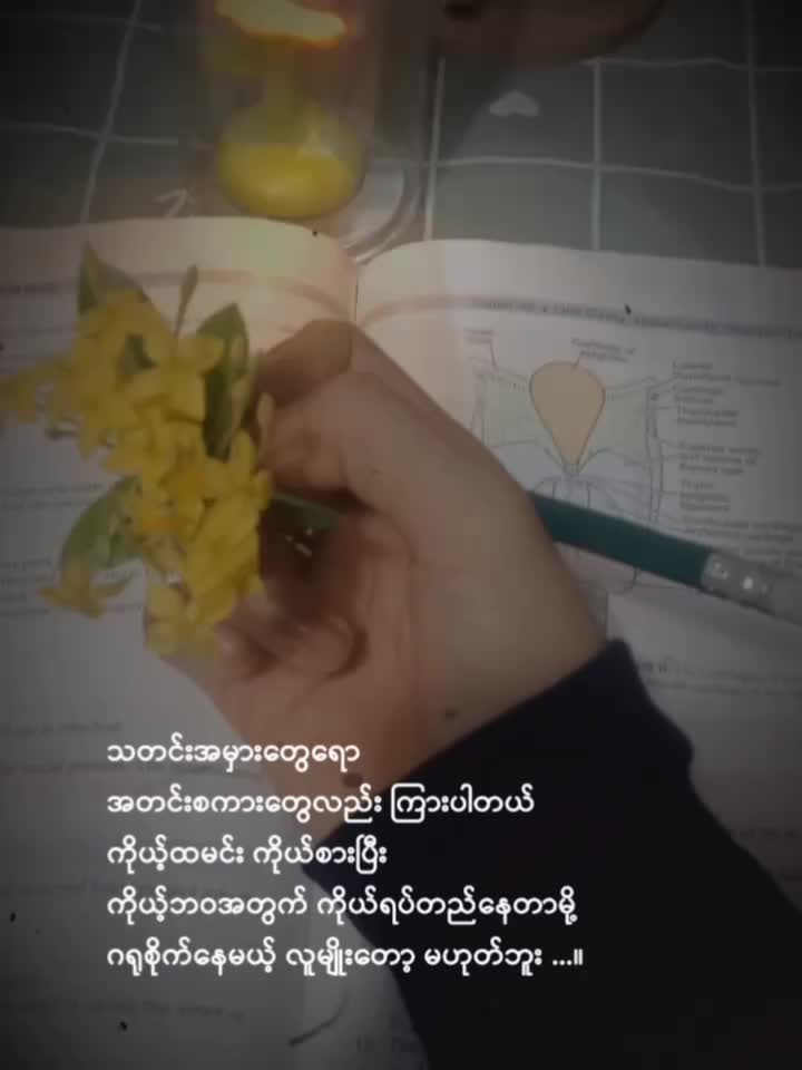 @Khing Sabil htwe