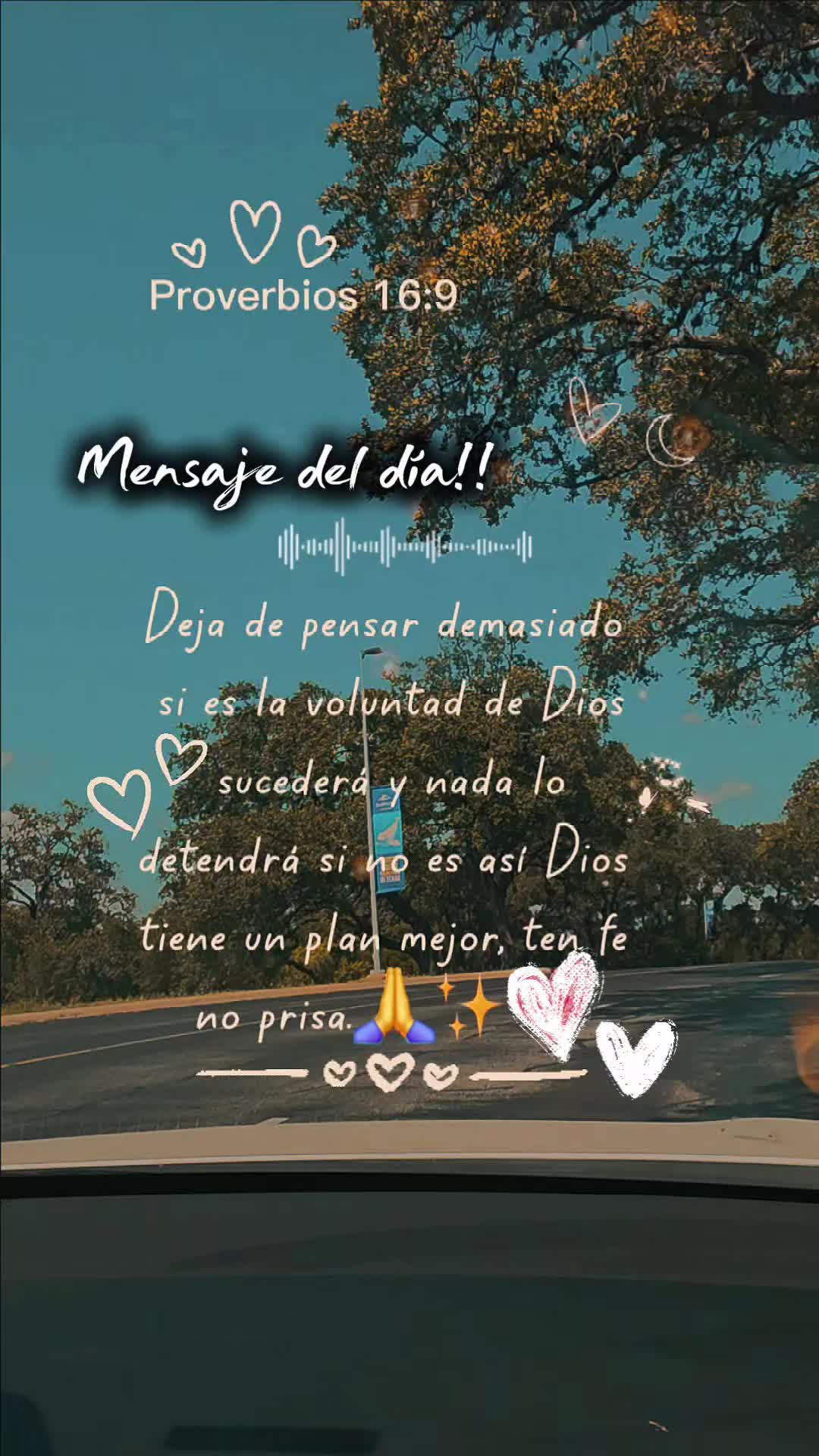@🤍🤍esmeralda 🤍🤍