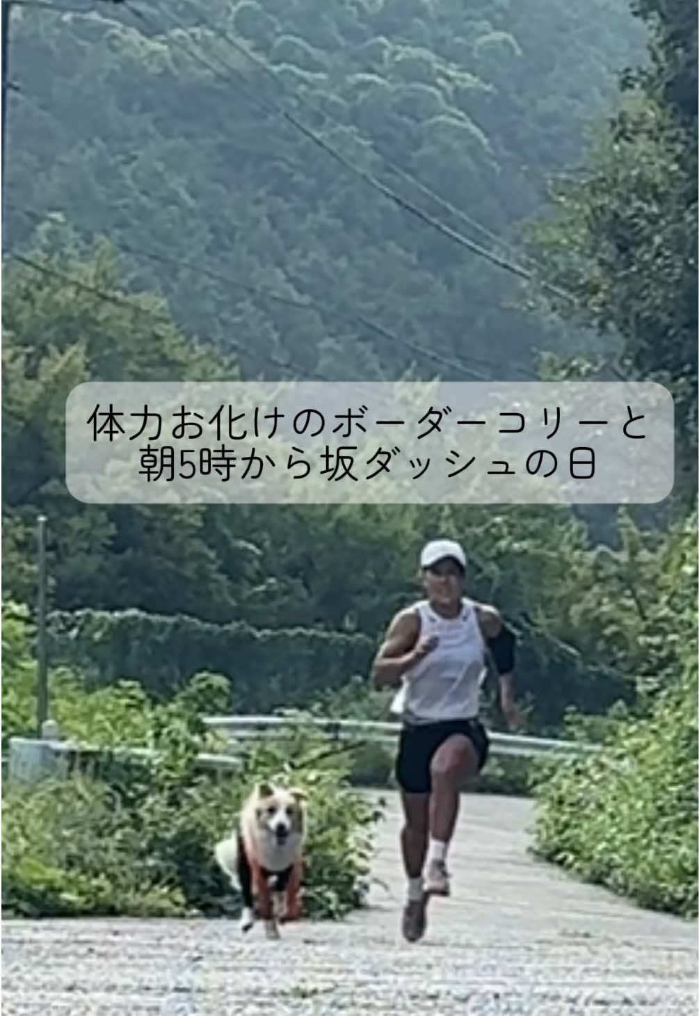 @陣在ほのか