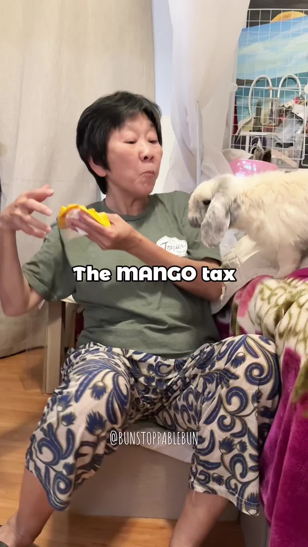 @BunBun, Mochi🌈, Chewy