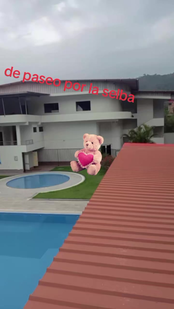 @Elvia Acuña
