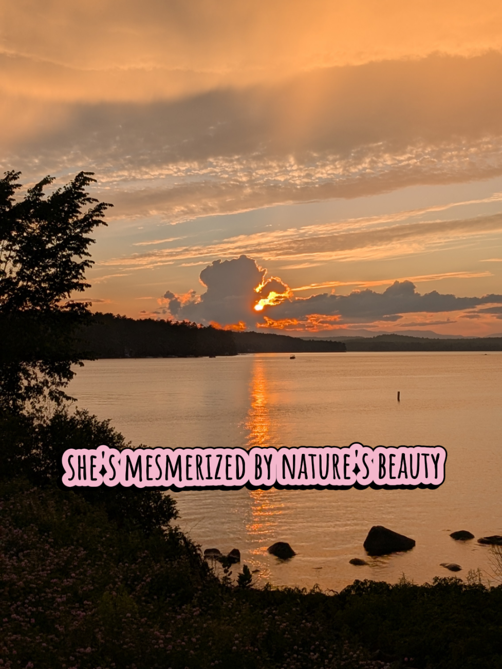 @Your Maine squeaks
