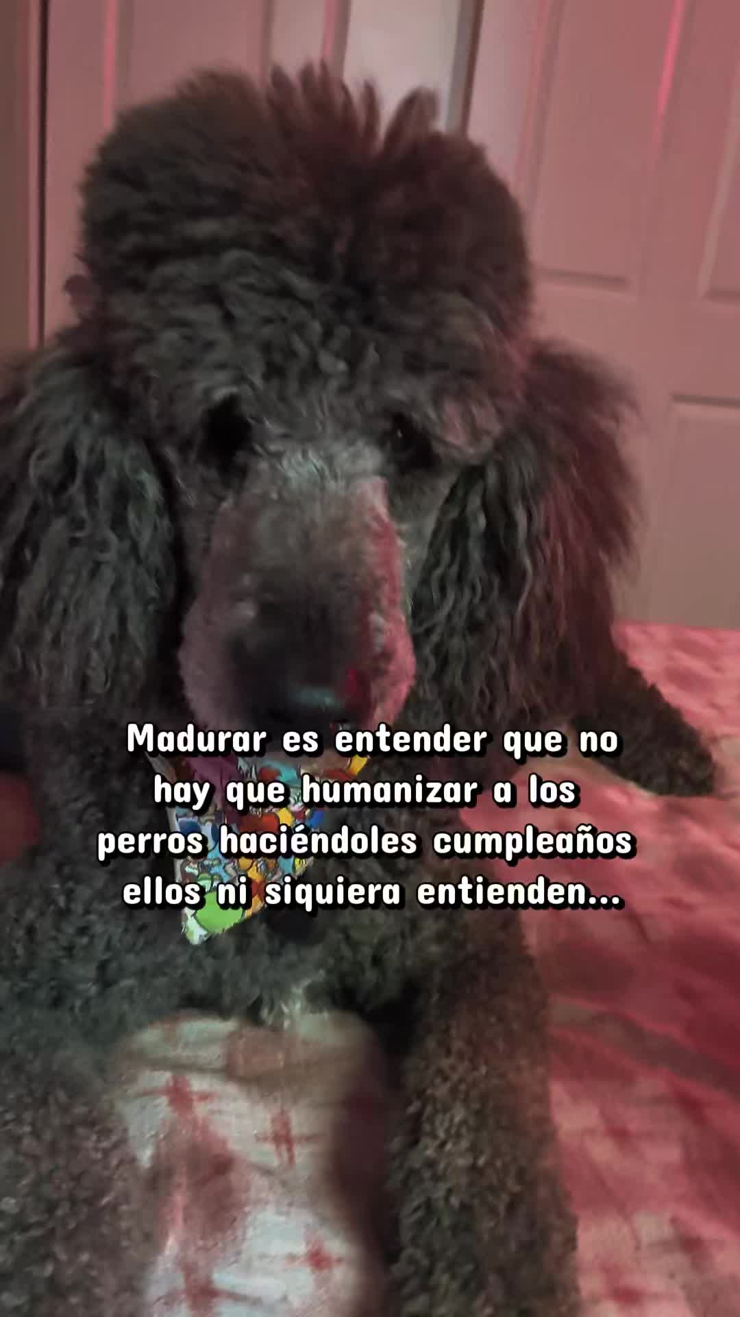 @Aleja 🇨🇴🇺🇸