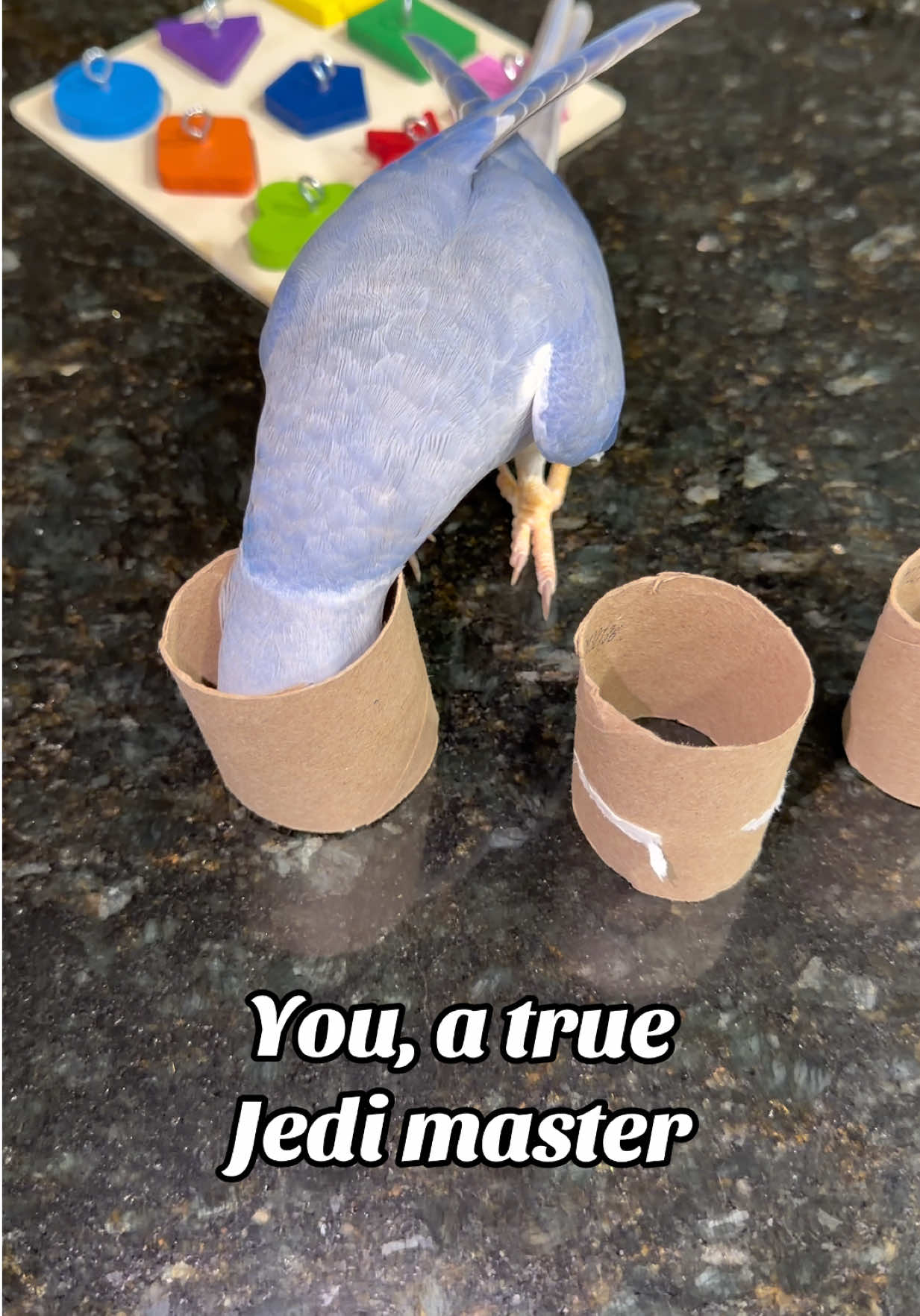 @Yamy levy