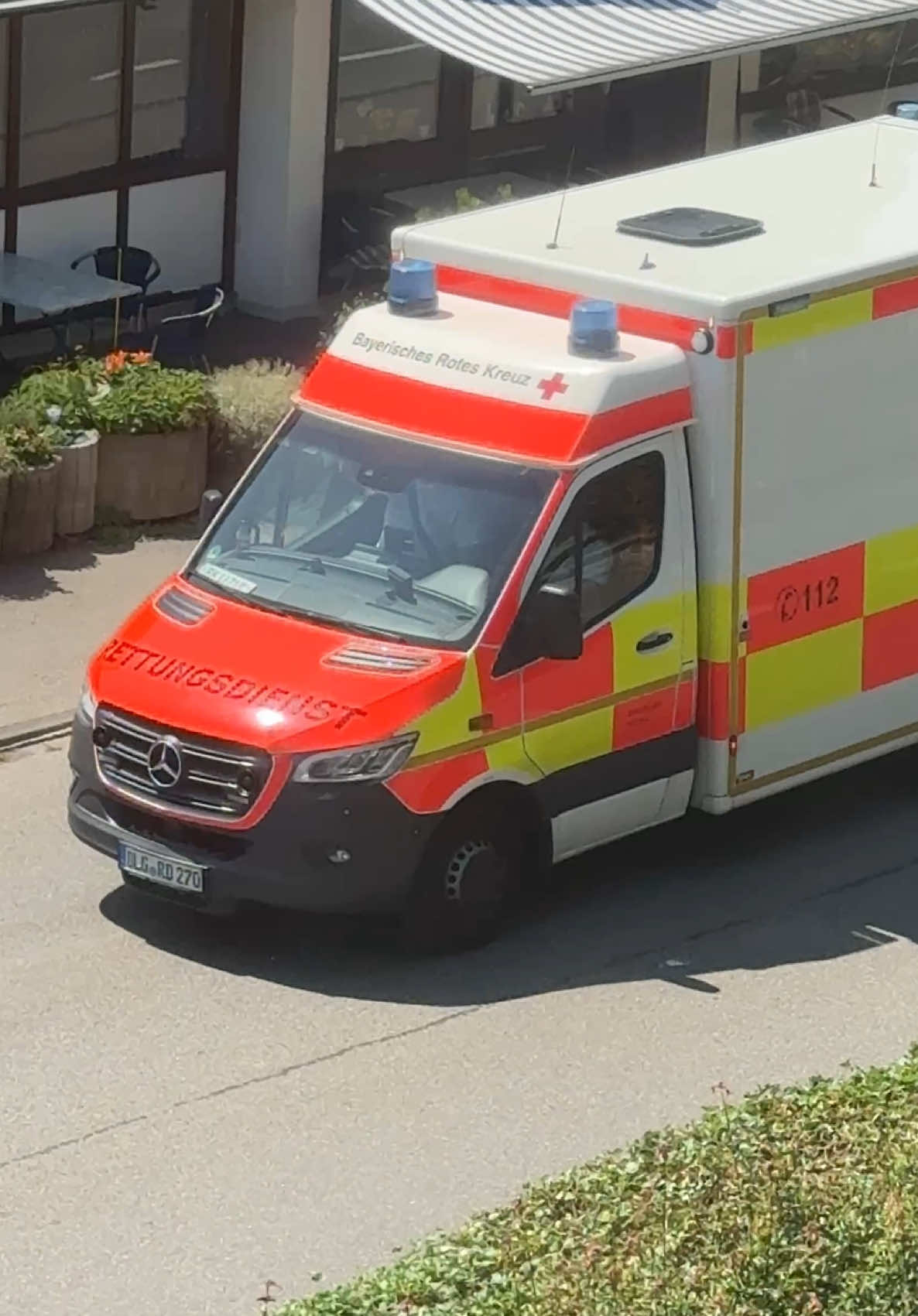 @EllieIstLost🦋