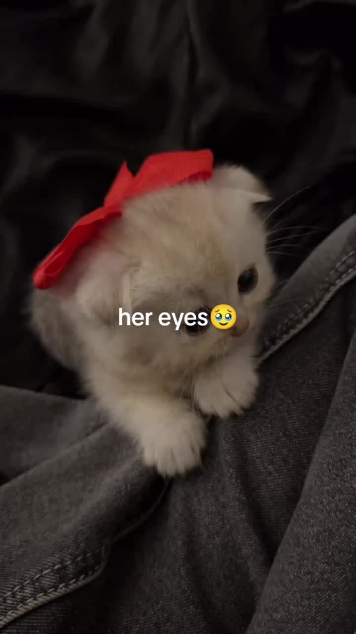 @عــلــي🇹🇳🪬