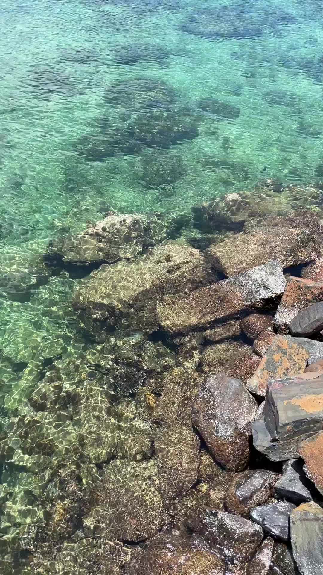 @lemukutan_island
