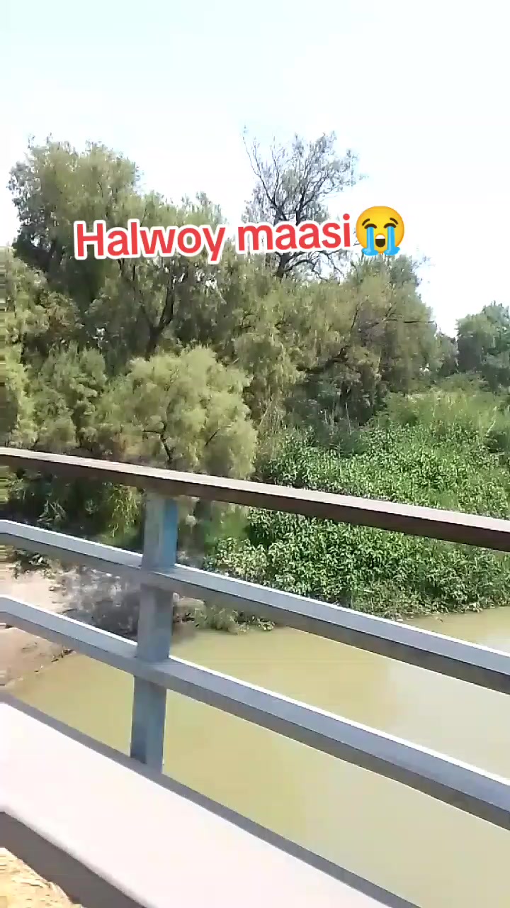 @Ziddi✌️🤨