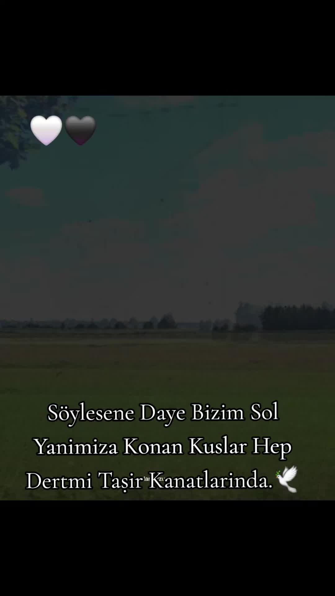 @💚❤️💛 EVİNA DİLEMIN 💚❤️💛