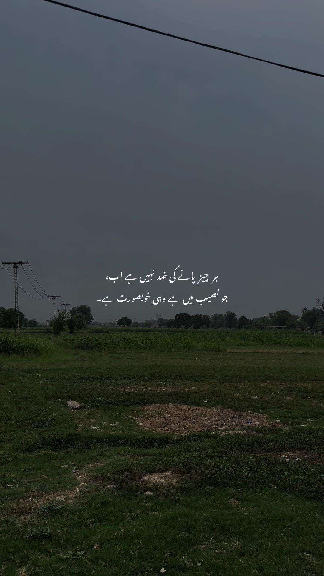 @کمیل🚩