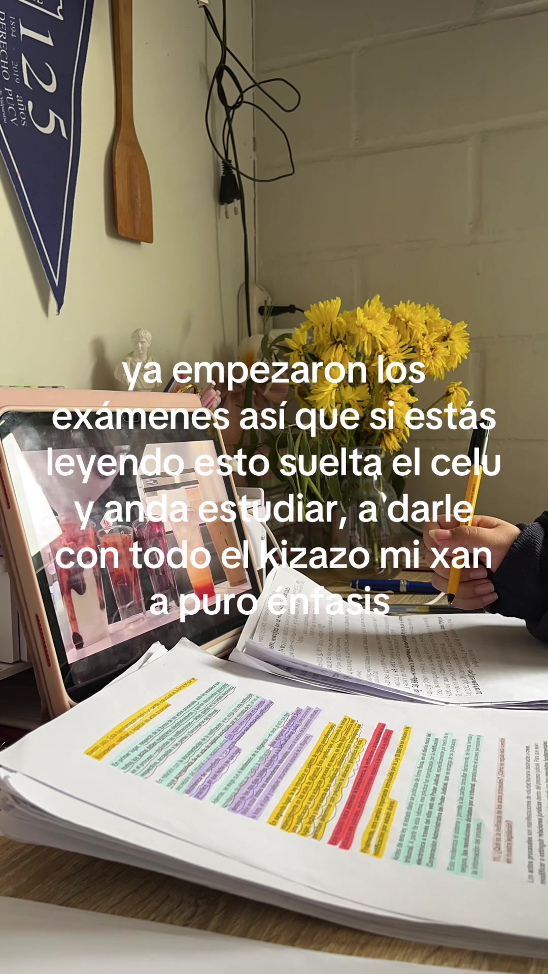 @catita