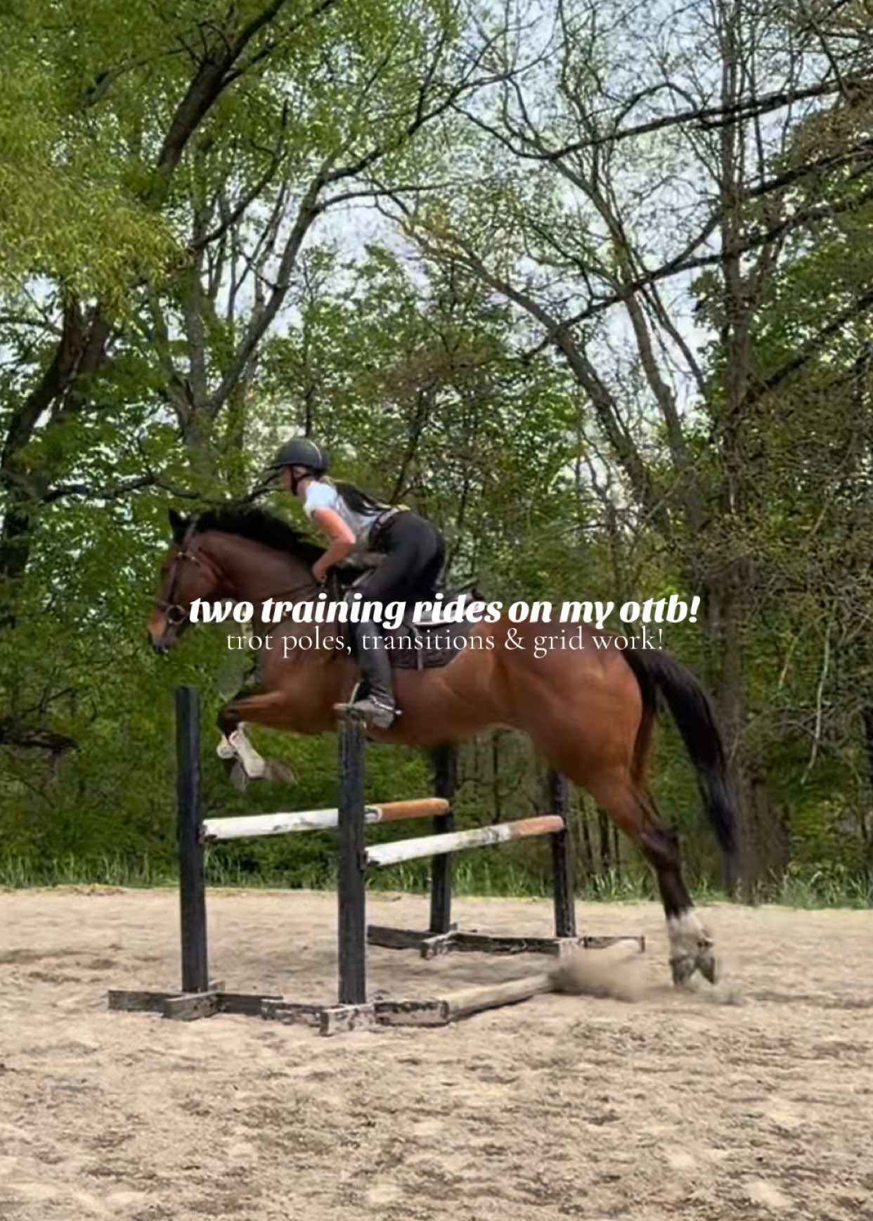 @Lunar Hill Equestrian