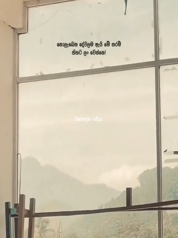 @Sadeeya - සදීයාᥫ᭡፝֟፝֟