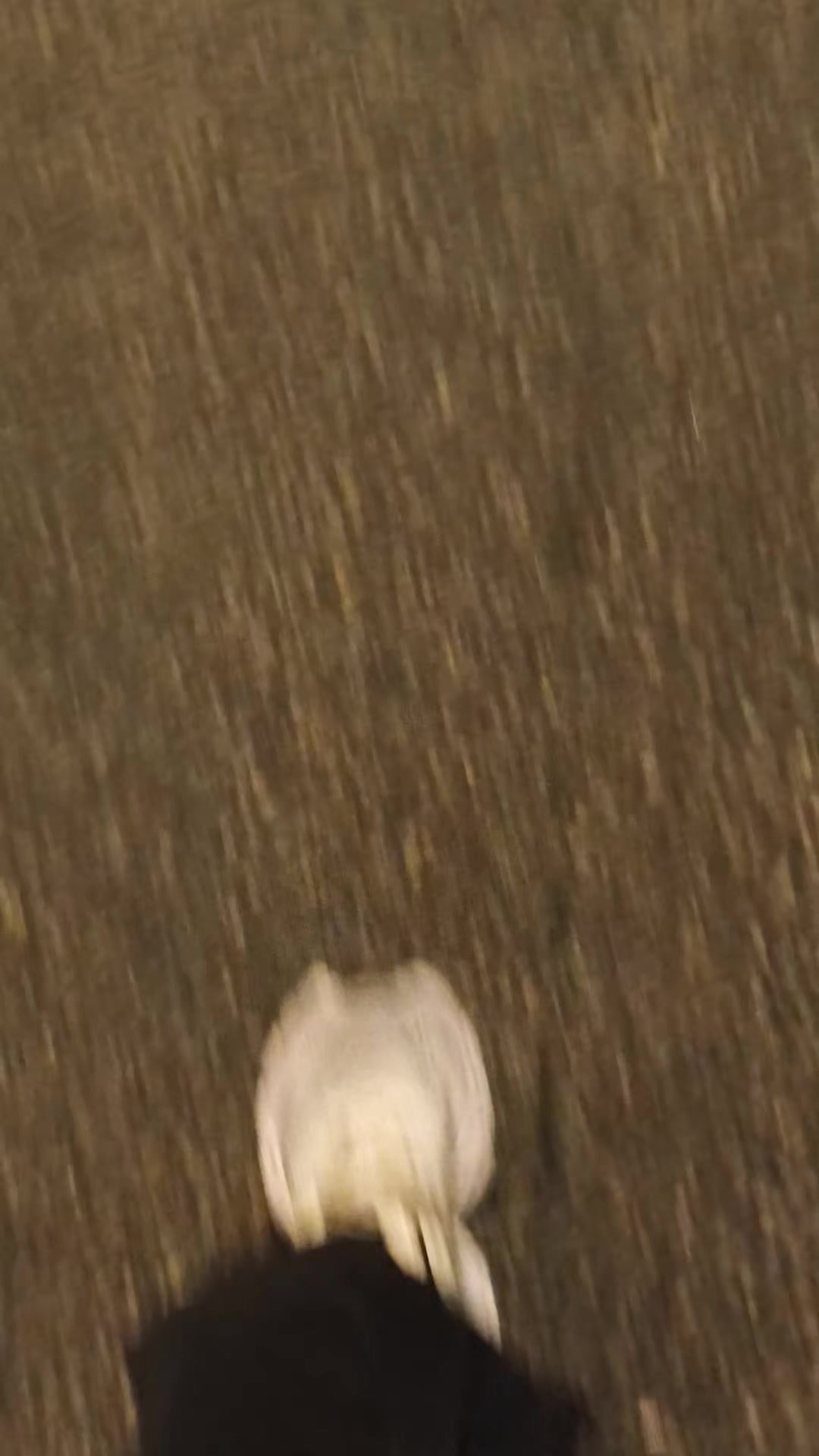 @Мука