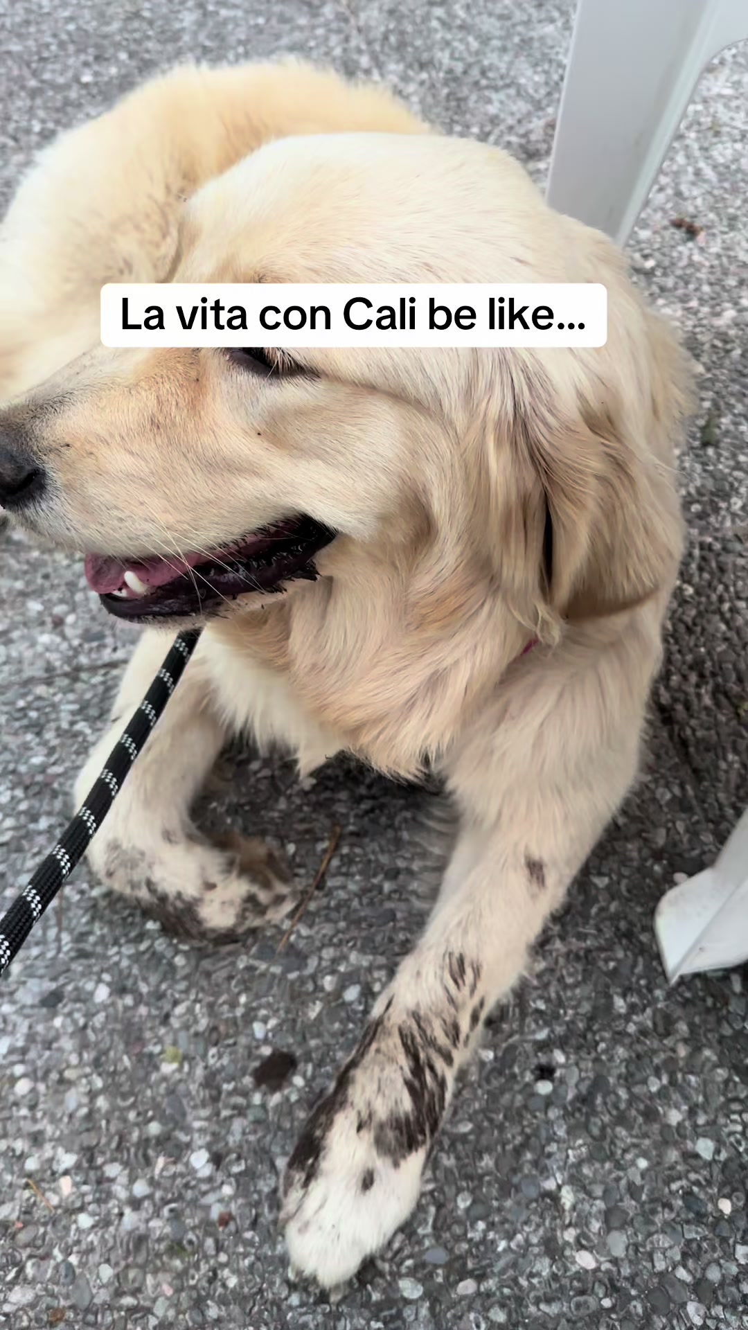 @Raffa&Cali