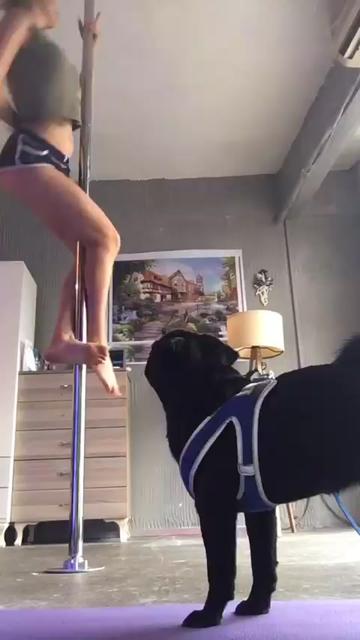 @suennm