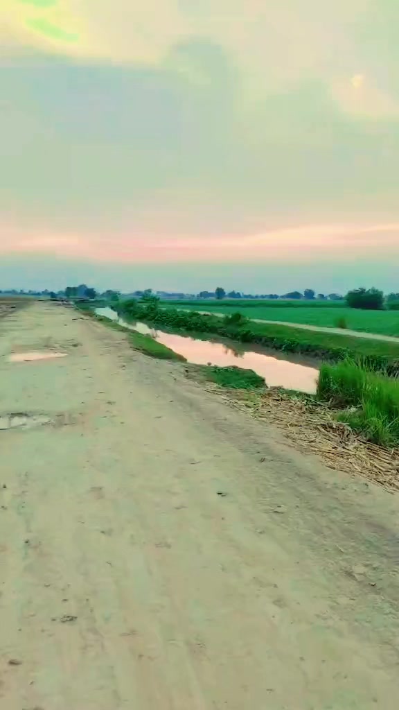 @Mehar Majo🇵🇰