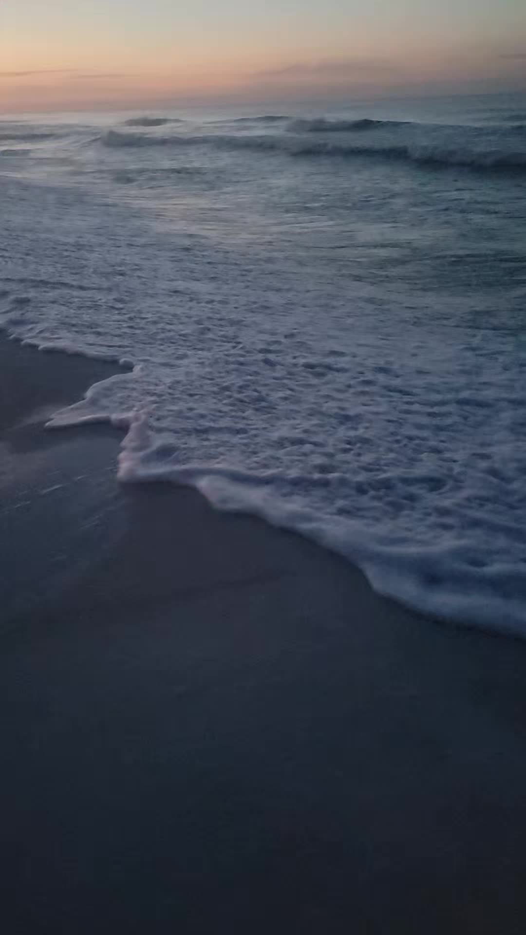 @TheBeachIsFree