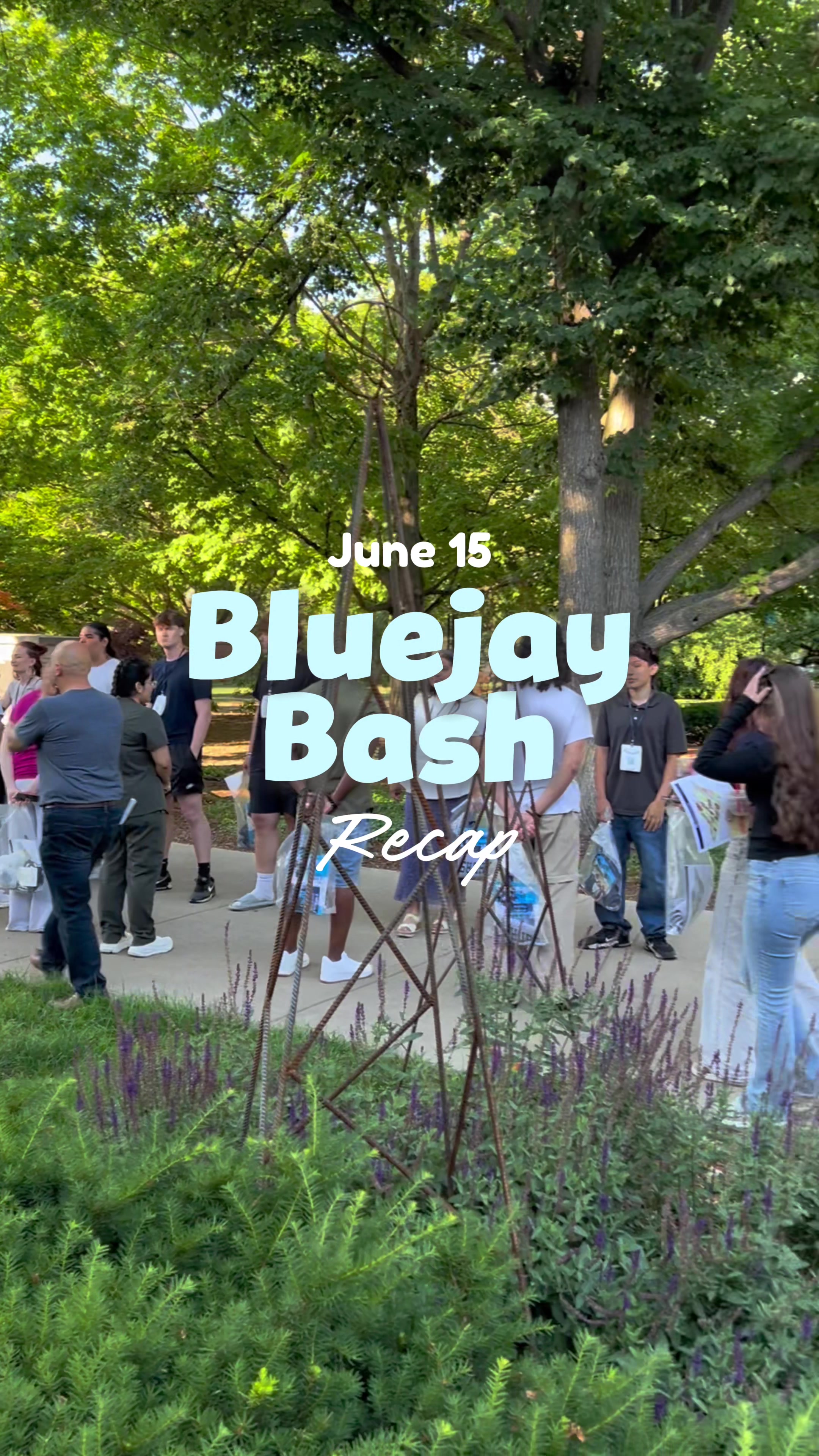 @Elmhurst University Admission