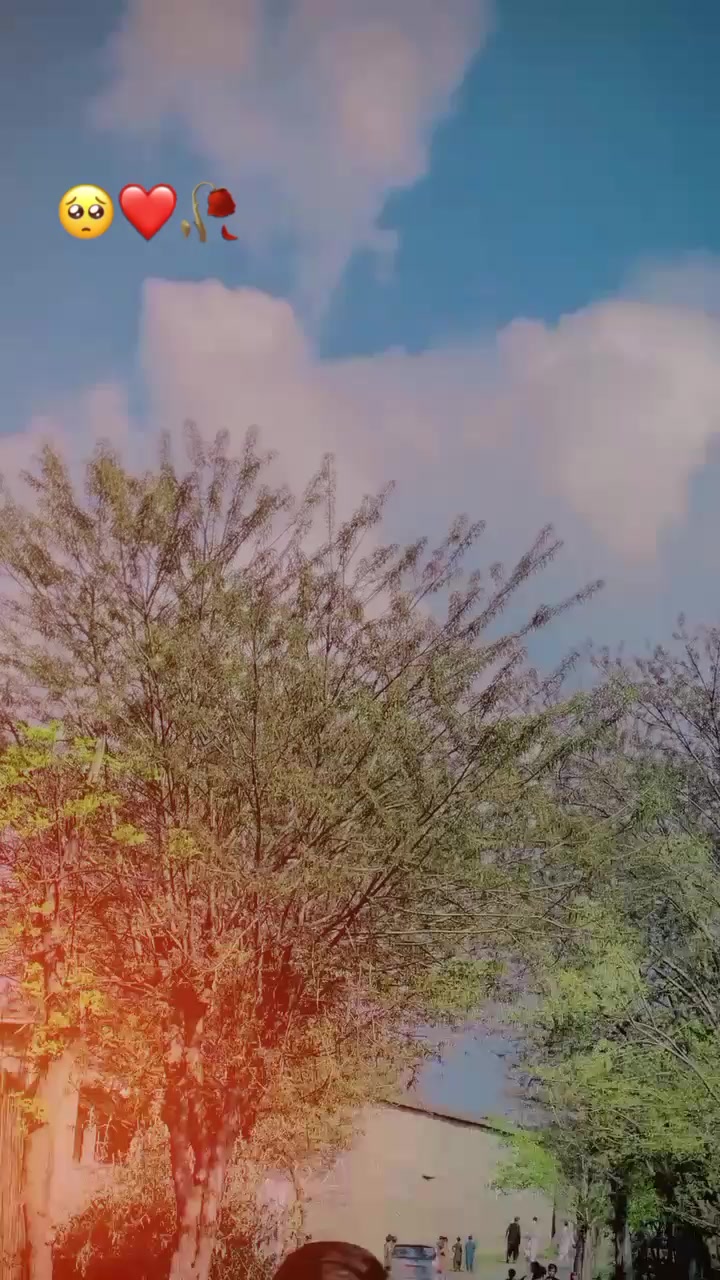 @🥀باجوڑے------حلک🥀