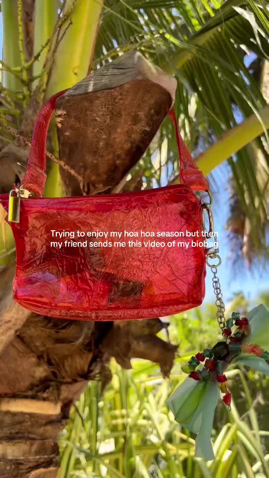 @daifein