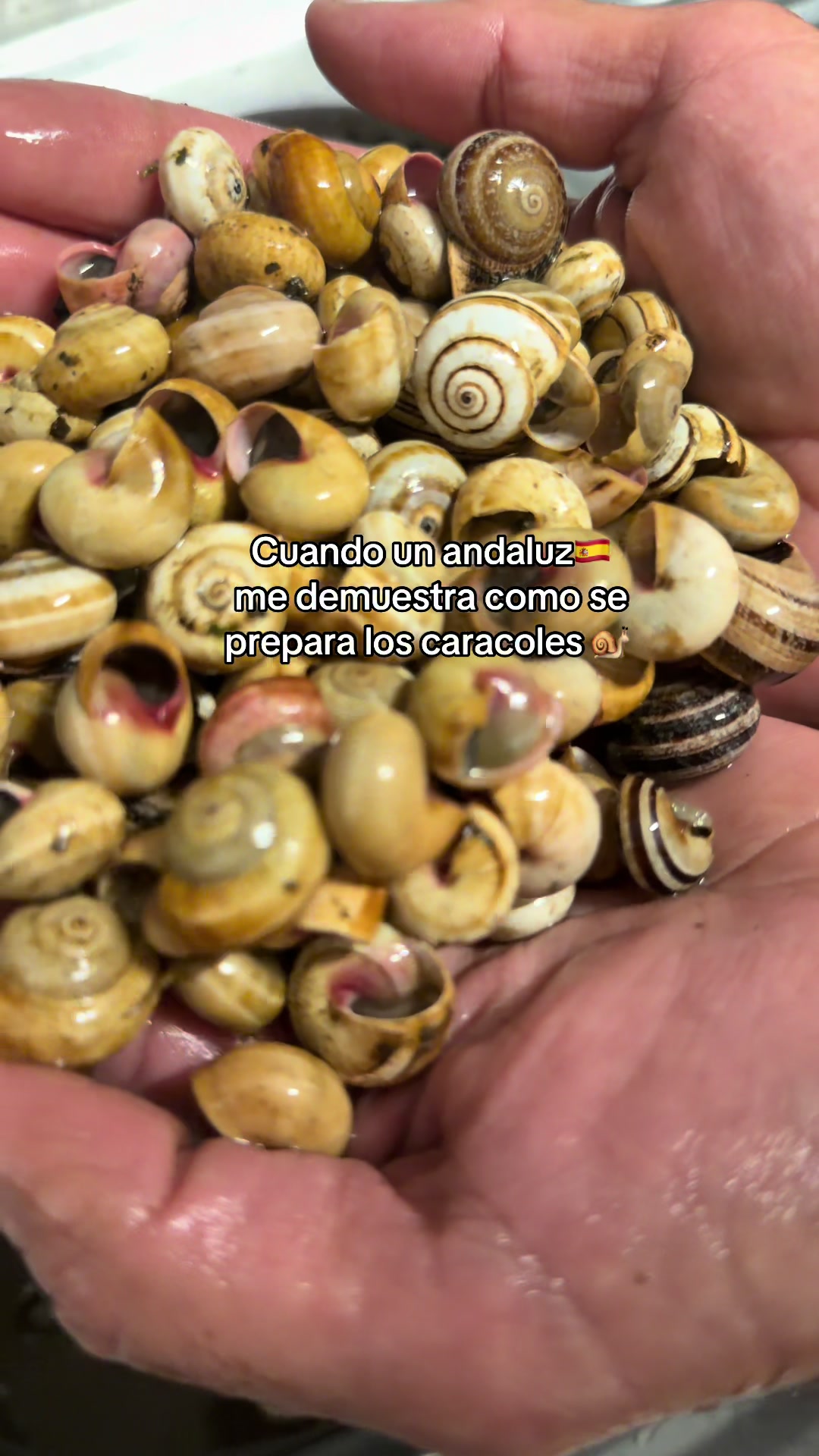 @🎀🦁ANGELA 🦁👙