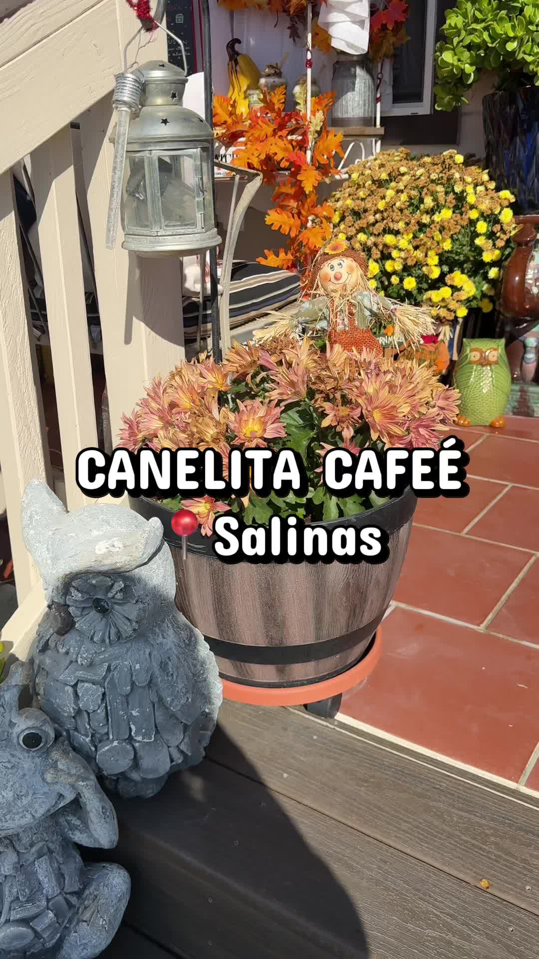 @C A L Y S S A ๐๐